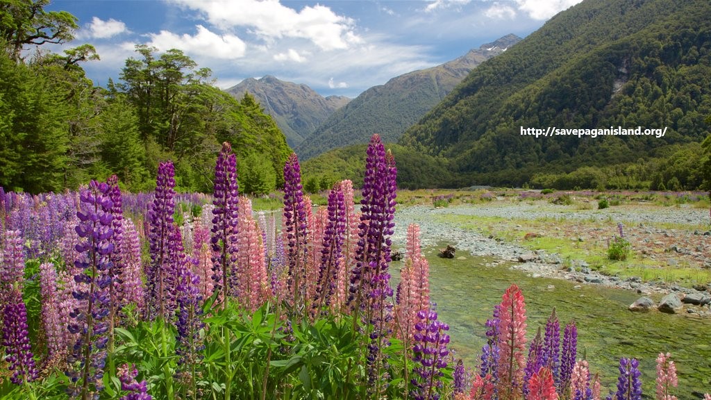 Taman Nasional Fiordland, Tempat Wisata Alam Terbaik